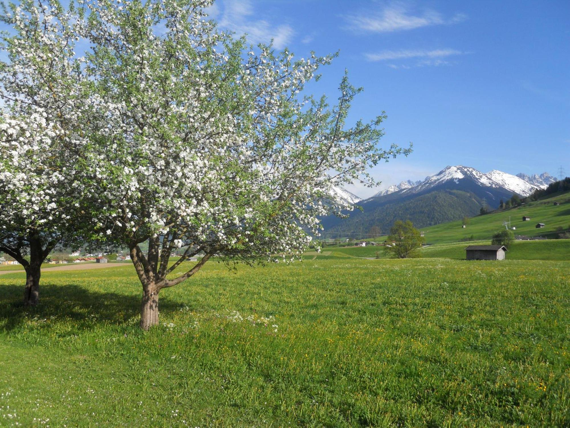 Gaestehaus Weber Oberperfuss Exteriér fotografie
